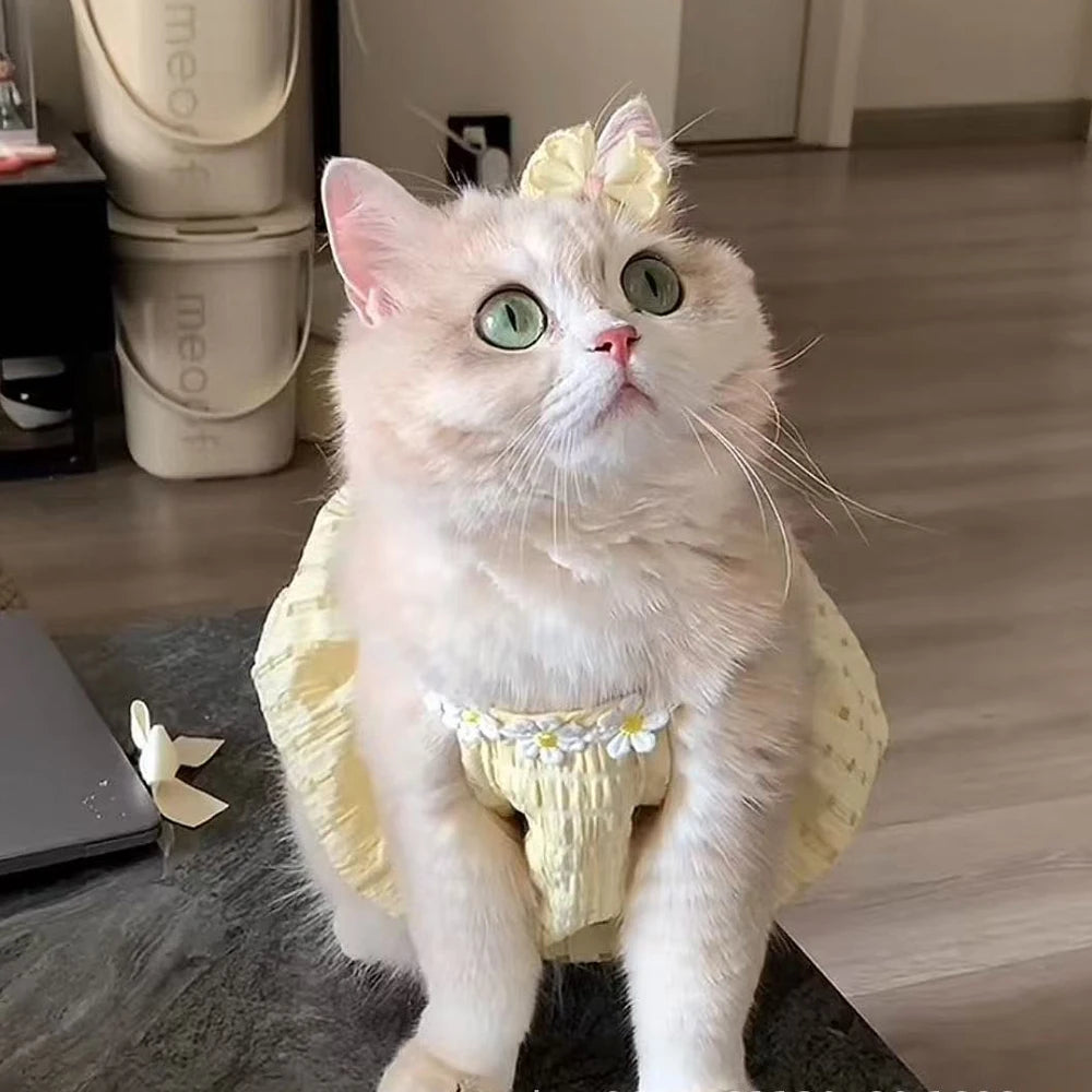 Breathable Cat Dress with Floral Wreath Collar