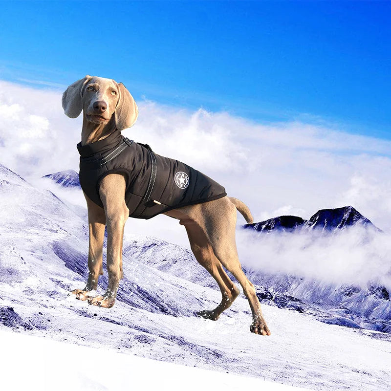 Waterproof Jacket  With Harness