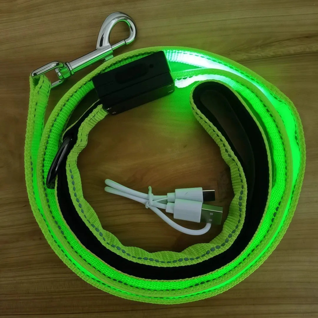 USB Rechargeable LED Light Up Leash for your pups safety.