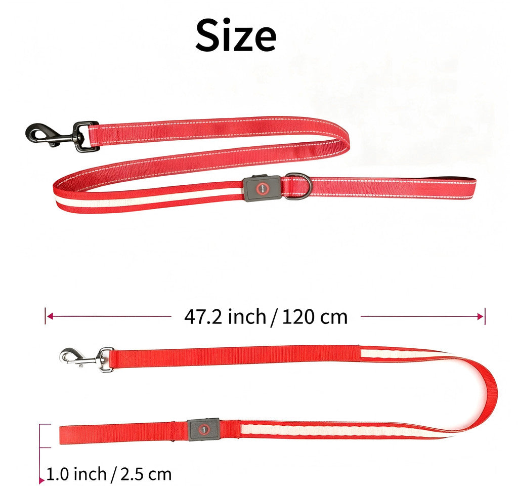 USB Rechargeable LED Light Up Leash for your pups safety.